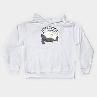 Pro-cat-stinator Funny Fat Cat Pun Kids Hoodie